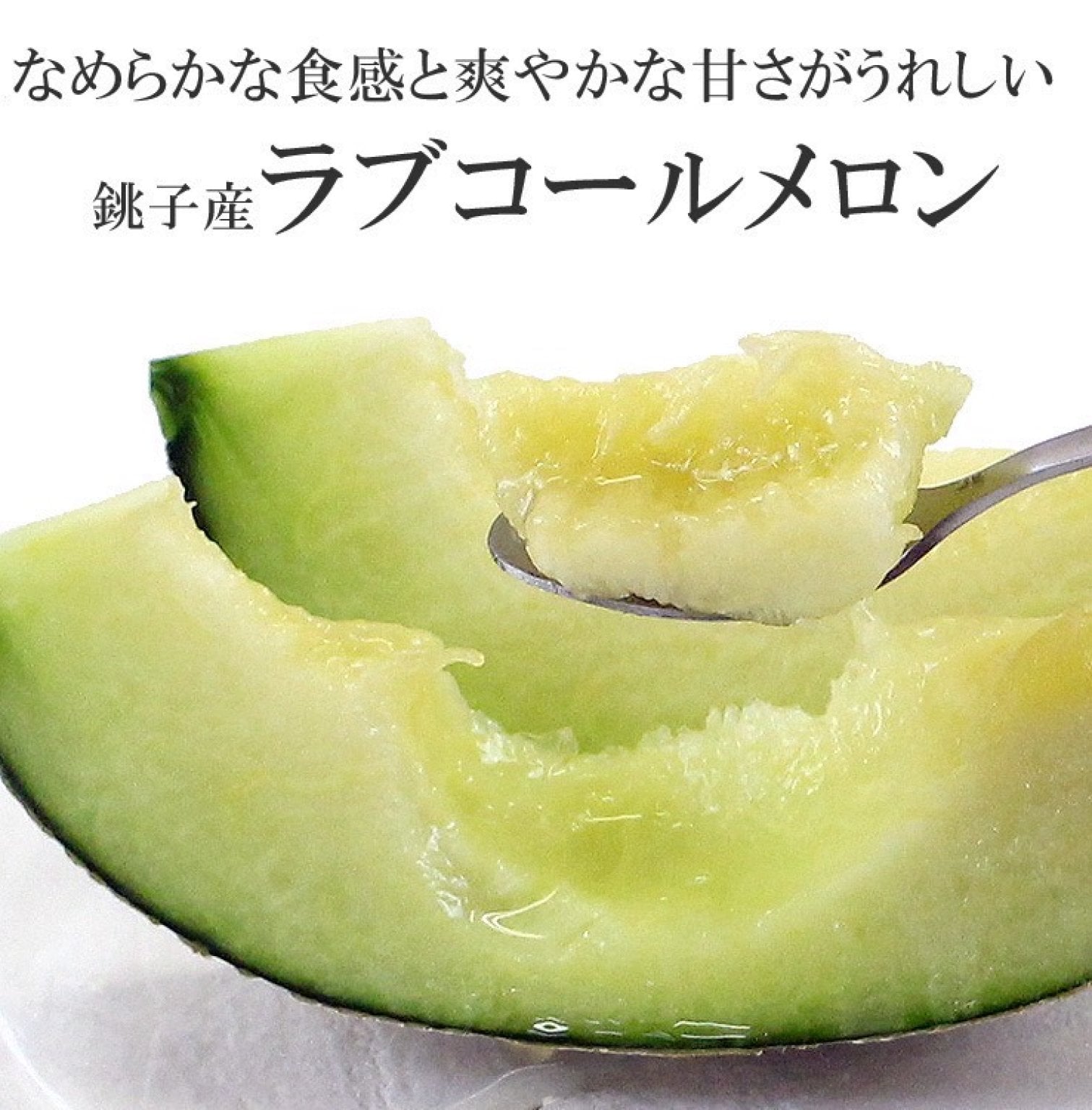 （小学生用チケット）千葉県銚子市・潮風吹き抜けるさわやかな農園【はぎわらファームの減農薬メロン収穫体験＆月音ヴィーガンランチ付き】６月20日(土)11:00 〜15:00