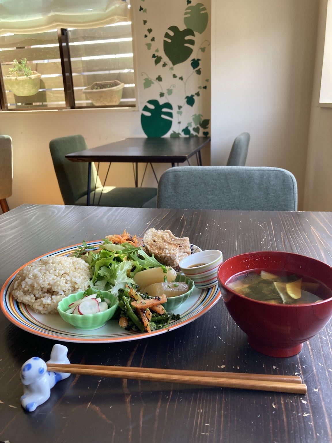 （小学生用チケット）千葉県銚子市・潮風吹き抜けるさわやかな農園【はぎわらファームの減農薬メロン収穫体験＆月音ヴィーガンランチ付き】６月20日(土)11:00 〜15:00
