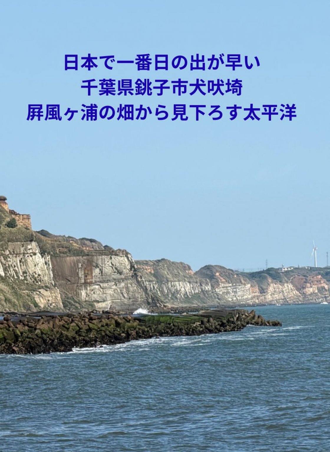（小学生用チケット）千葉県銚子市・潮風吹き抜けるさわやかな農園【はぎわらファームの減農薬メロン収穫体験＆月音ヴィーガンランチ付き】６月20日(土)11:00 〜15:00