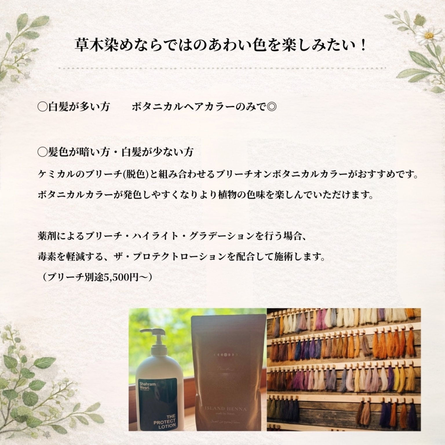 《2/5までの特別価格》【3回券/来店チケット】ボタニカルヘアカラー(ヘナと草木染め )｜自然派美容室 Tane to Hibiki