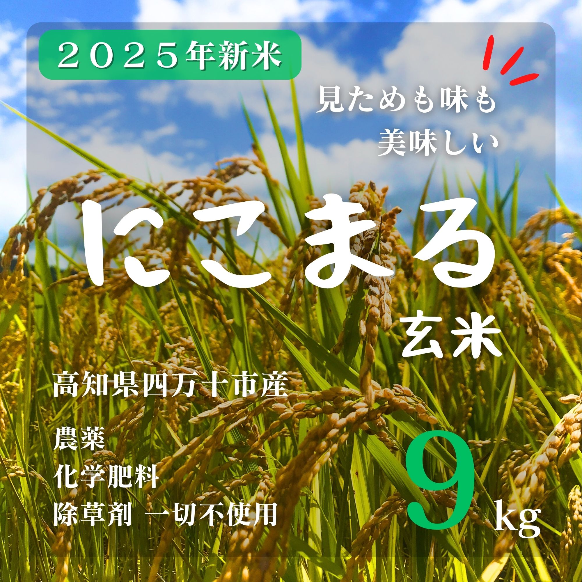 高ポイント】2025新米 にこまる玄米 9kg 農薬・化学肥料・除草剤不使用