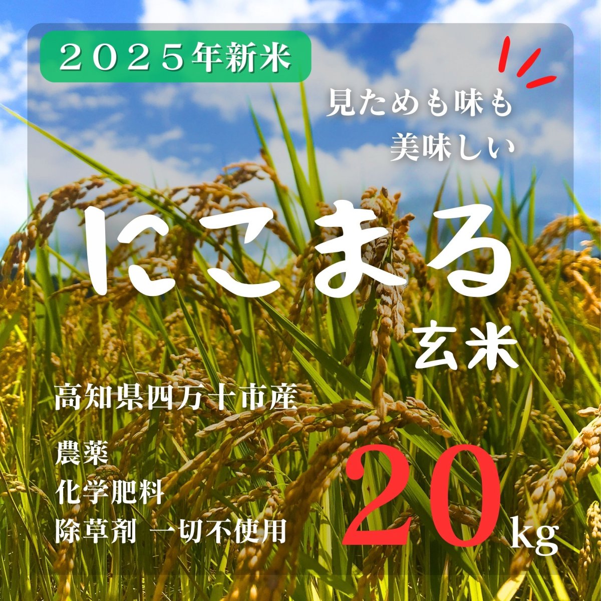 高ポイント】2025新米 にこまる玄米 20kg 農薬・化学肥料・除草剤不
