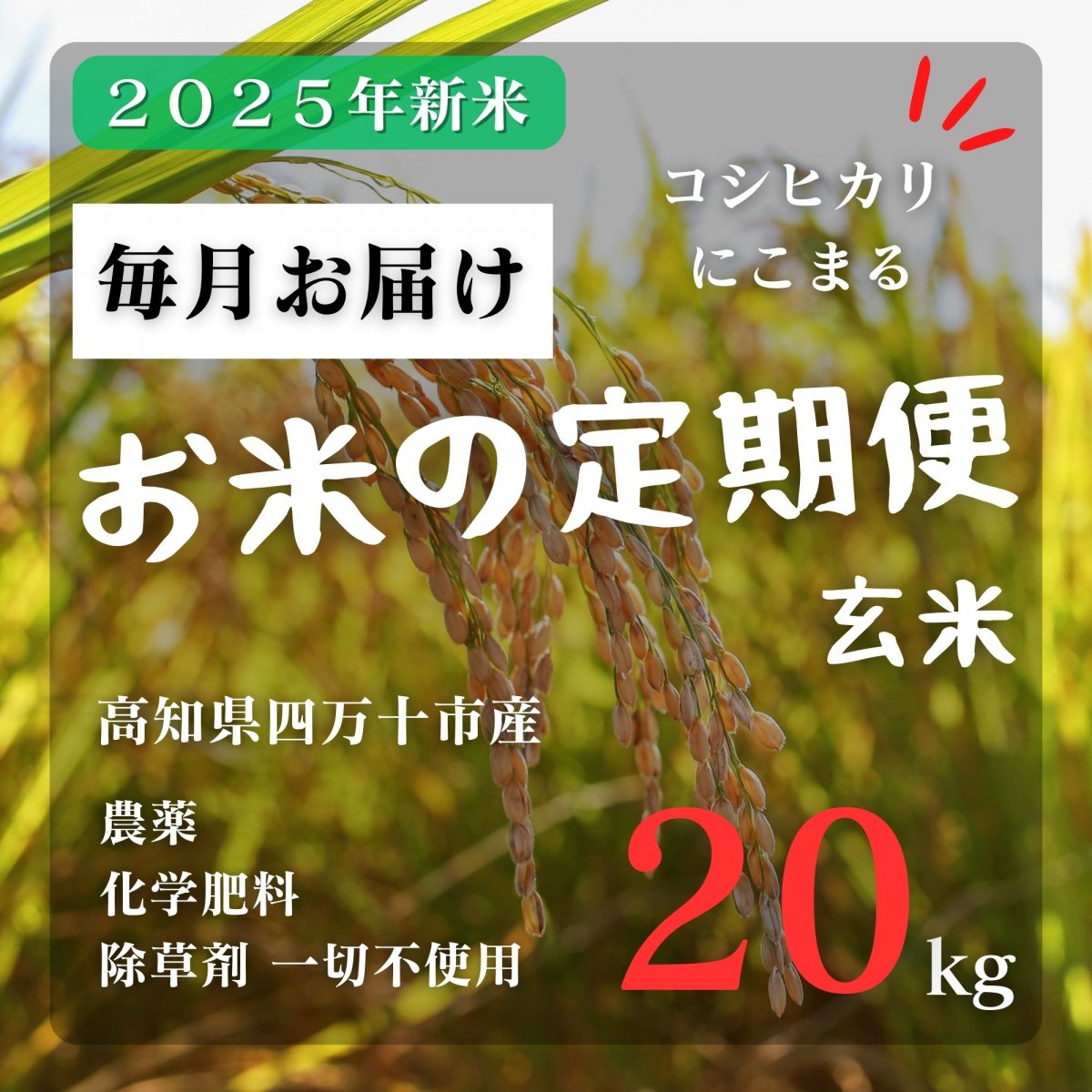 蕨岡の百姓｜高知県四万十市｜お米｜玄米｜農薬・化学肥料・除草剤不
