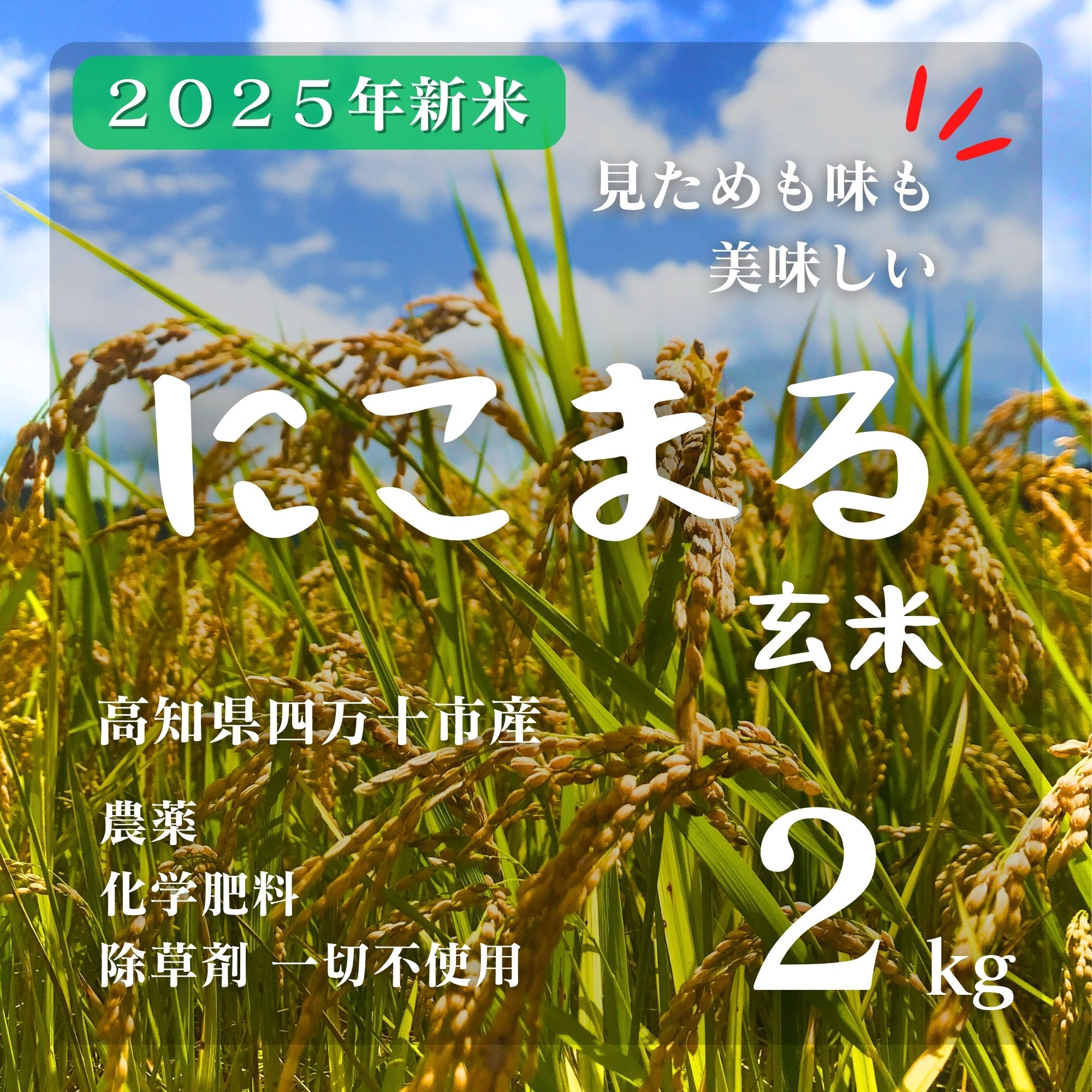 送料込】2025新米 にこまる玄米 2kg 農薬・化学肥料・除草剤不使用