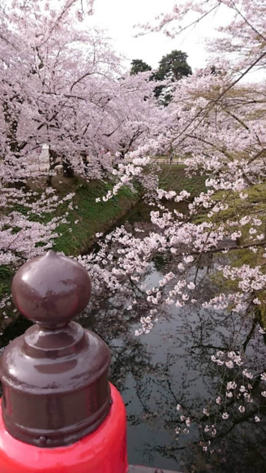 弘前さくら祭りシーズン｜民泊｜素泊まり｜神社＆温泉体験【民泊三國屋再開！期間限定チケット】