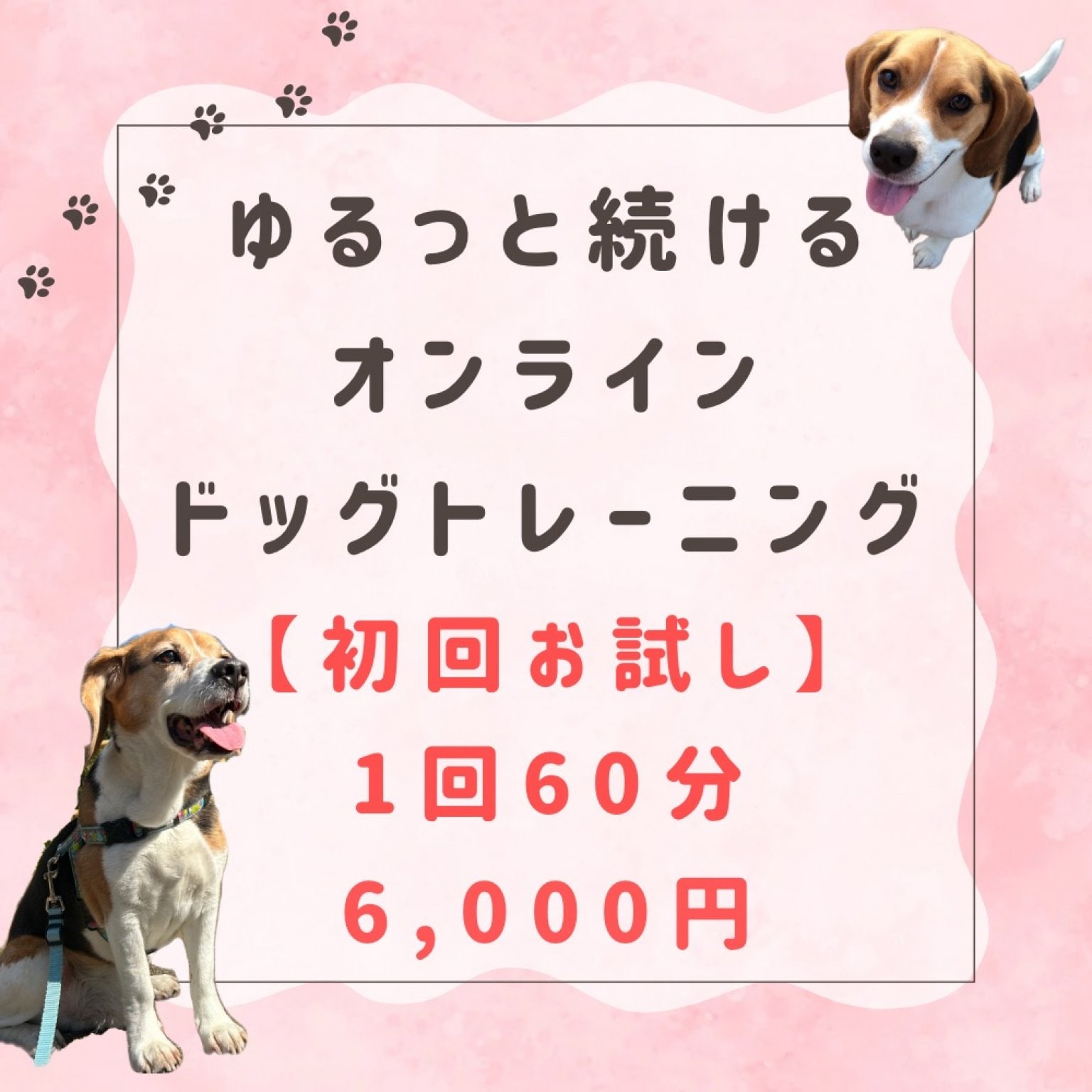 ゆるっと続けるオンラインドッグトレーニング【初回お試し】1回60分