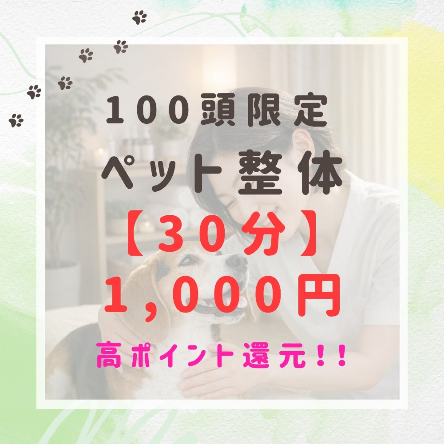 【100頭限定】ペット整体30分　