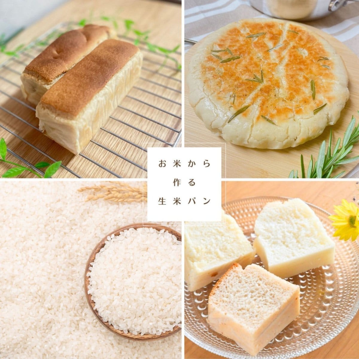 【対面】お米から作る生米パン　クルミとレーズンたっぷりﾚｻﾞﾝﾉｱ