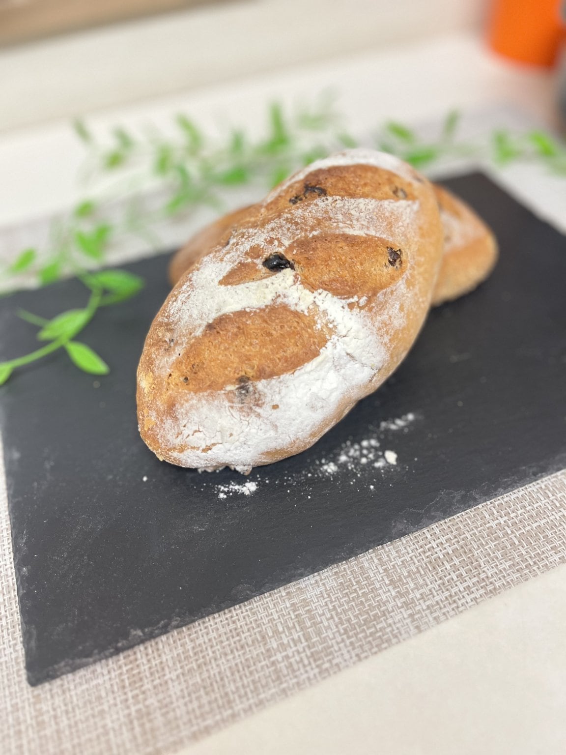 【対面】お米から作る生米パン　クルミとレーズンたっぷりﾚｻﾞﾝﾉｱ