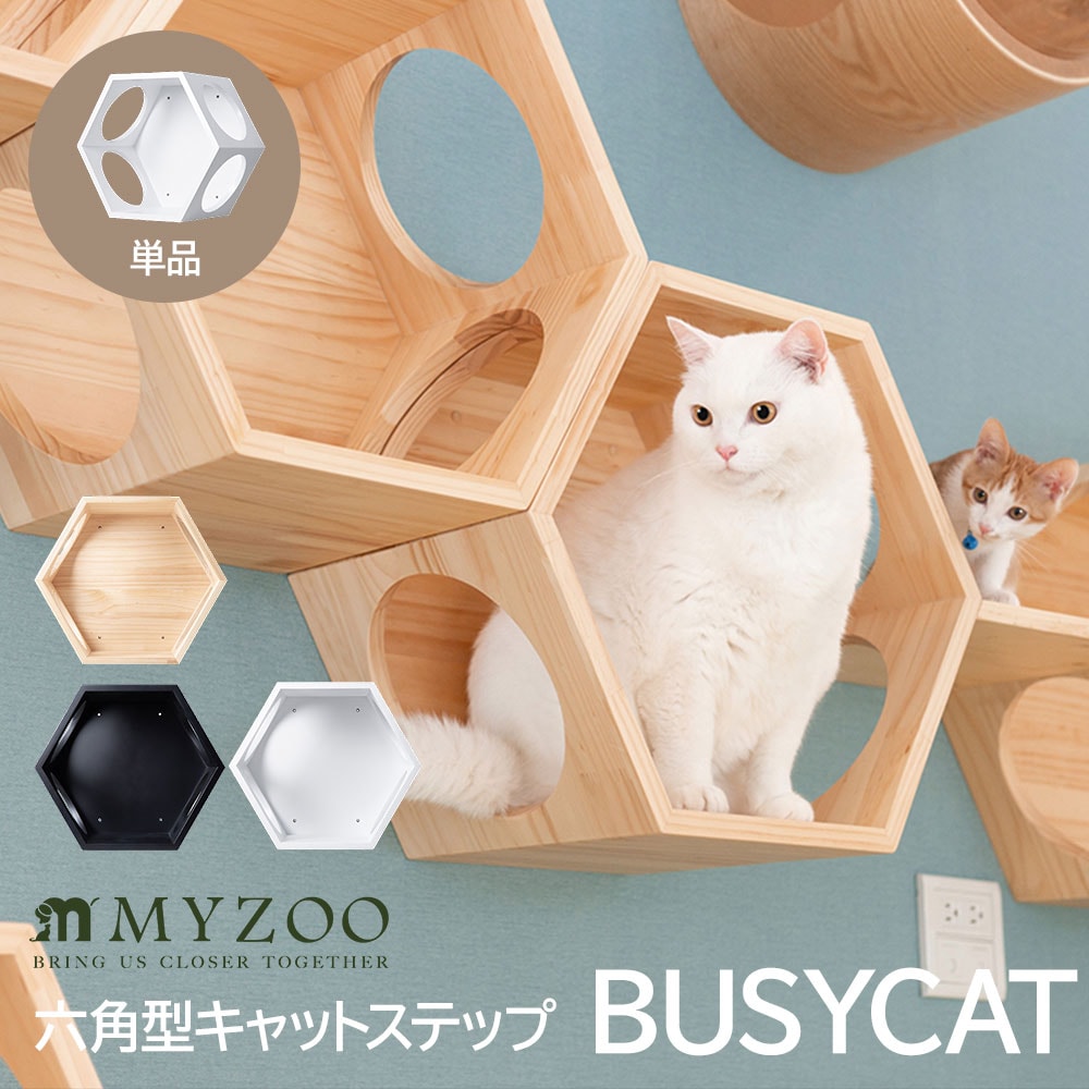 MYZOO BUSYCAT 六角型 キャットハウス