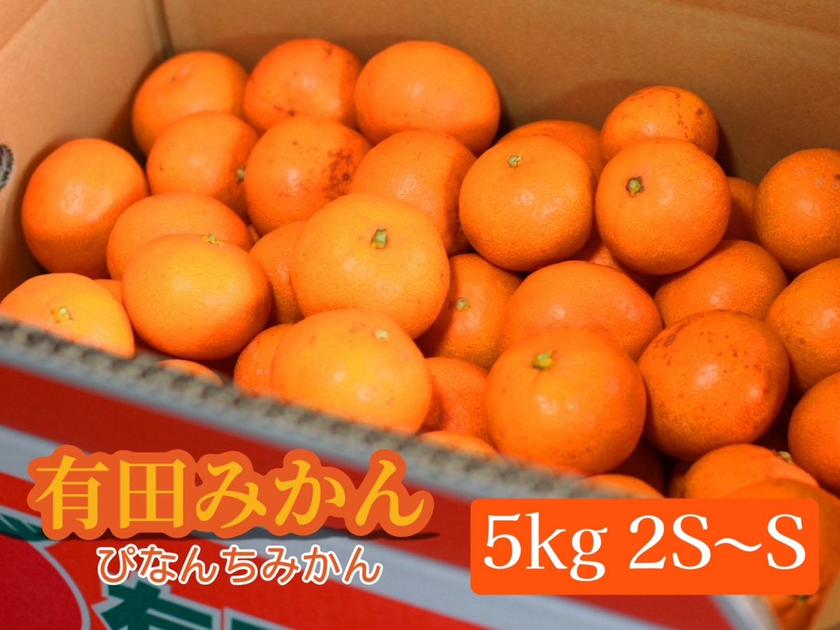 ぴなんちみかん