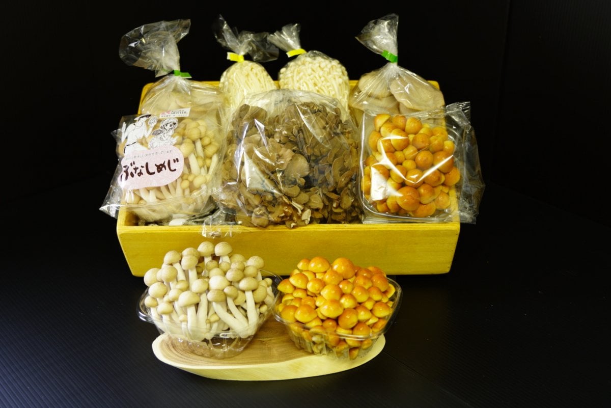 産地直送こだわりキノコセット