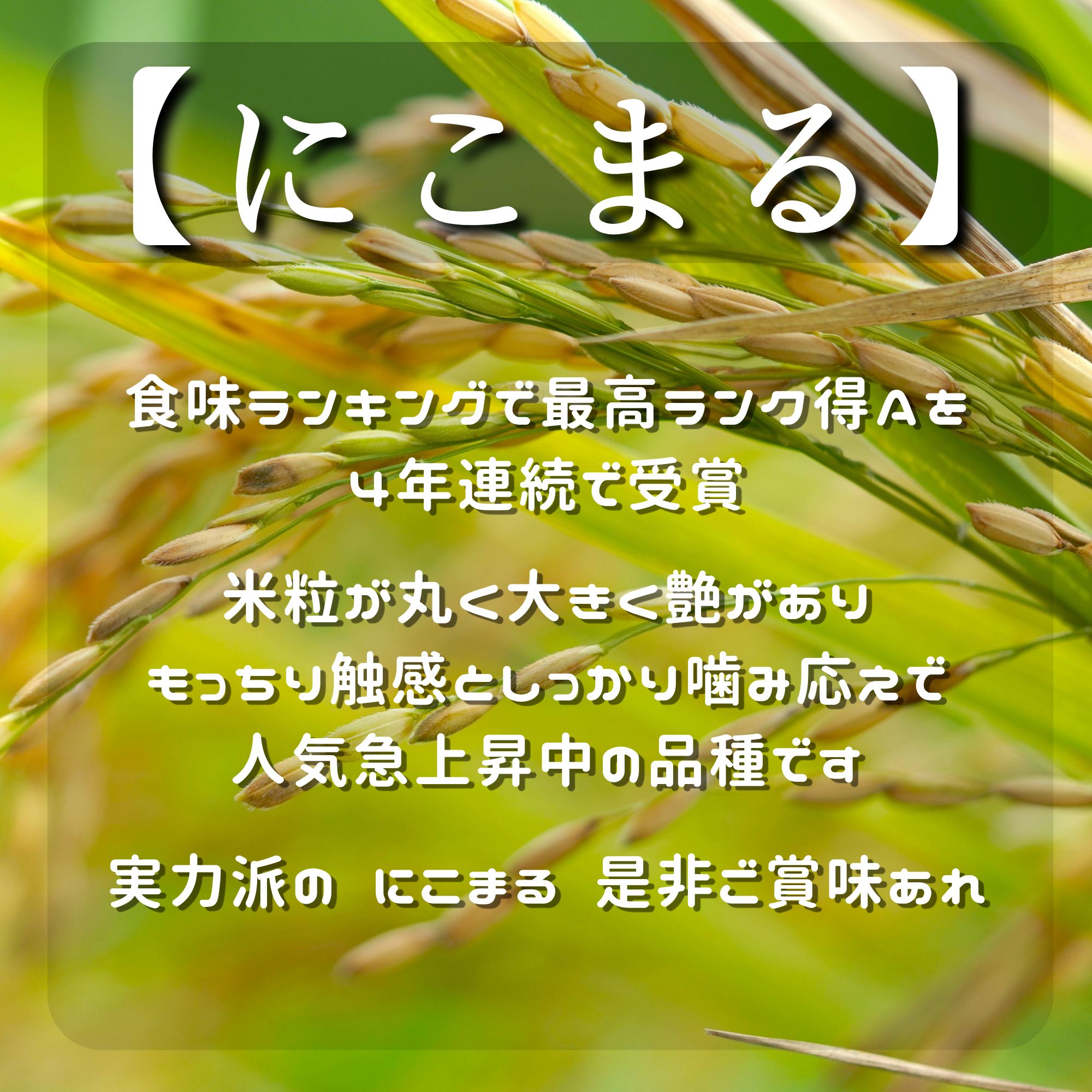 高ポイント】にこまる玄米 20kg 農薬・化学肥料・除草剤不使用 農家