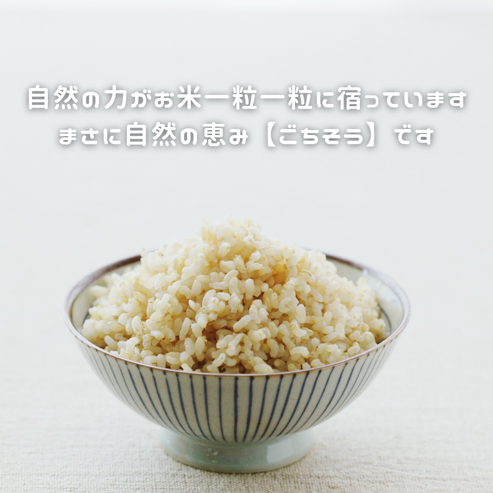 高ポイント】にこまる玄米 20kg 農薬・化学肥料・除草剤不使用 農家