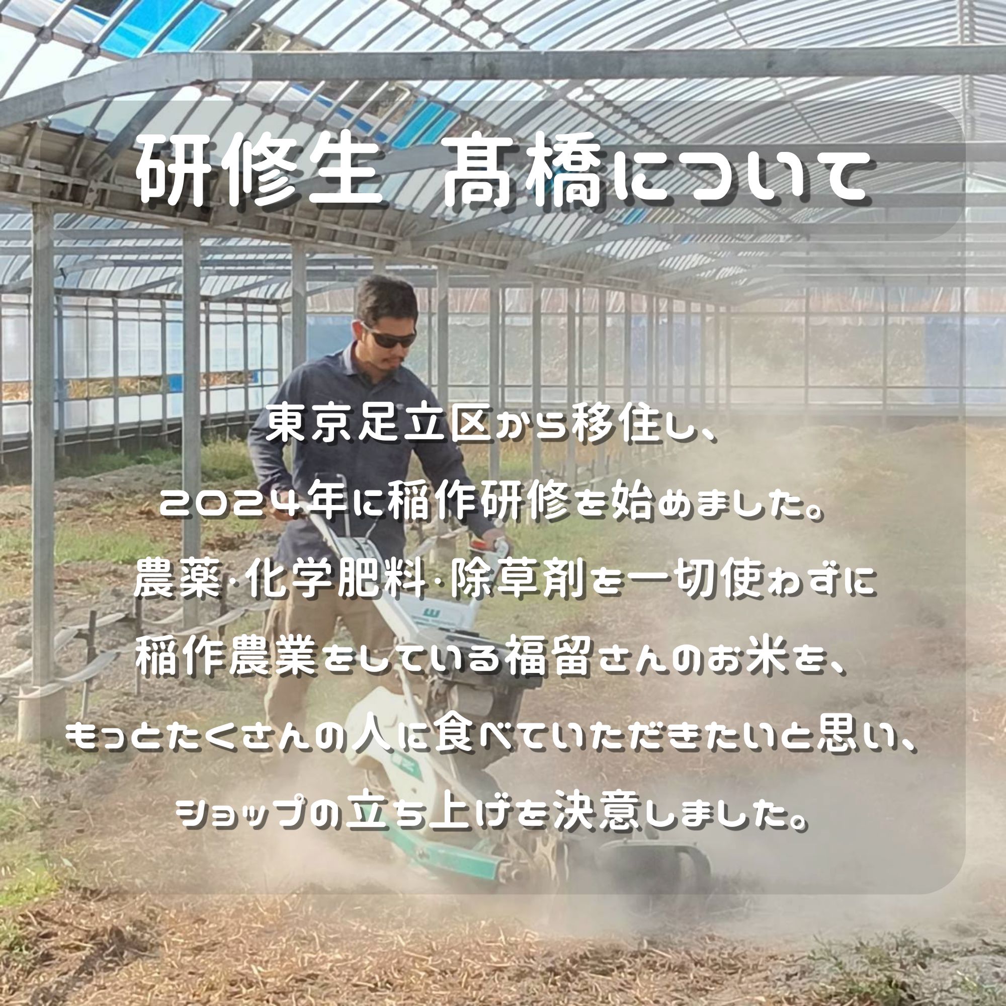 高ポイント】にこまる玄米 2kg 農薬・化学肥料・除草剤不使用 農家直送