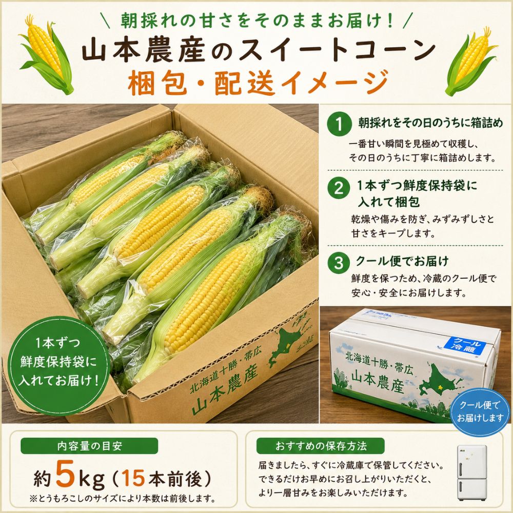 予約販売】20セット限定｜朝採れ直送！山本農産の極甘スイートコーン
