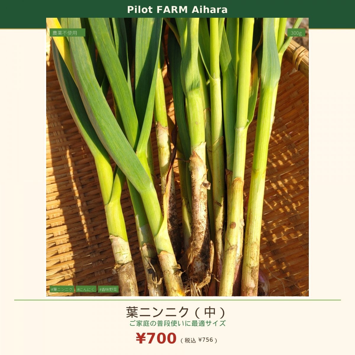 【農薬不使用】葉ニンニク(中) 300g｜Pilot FARM Aihara