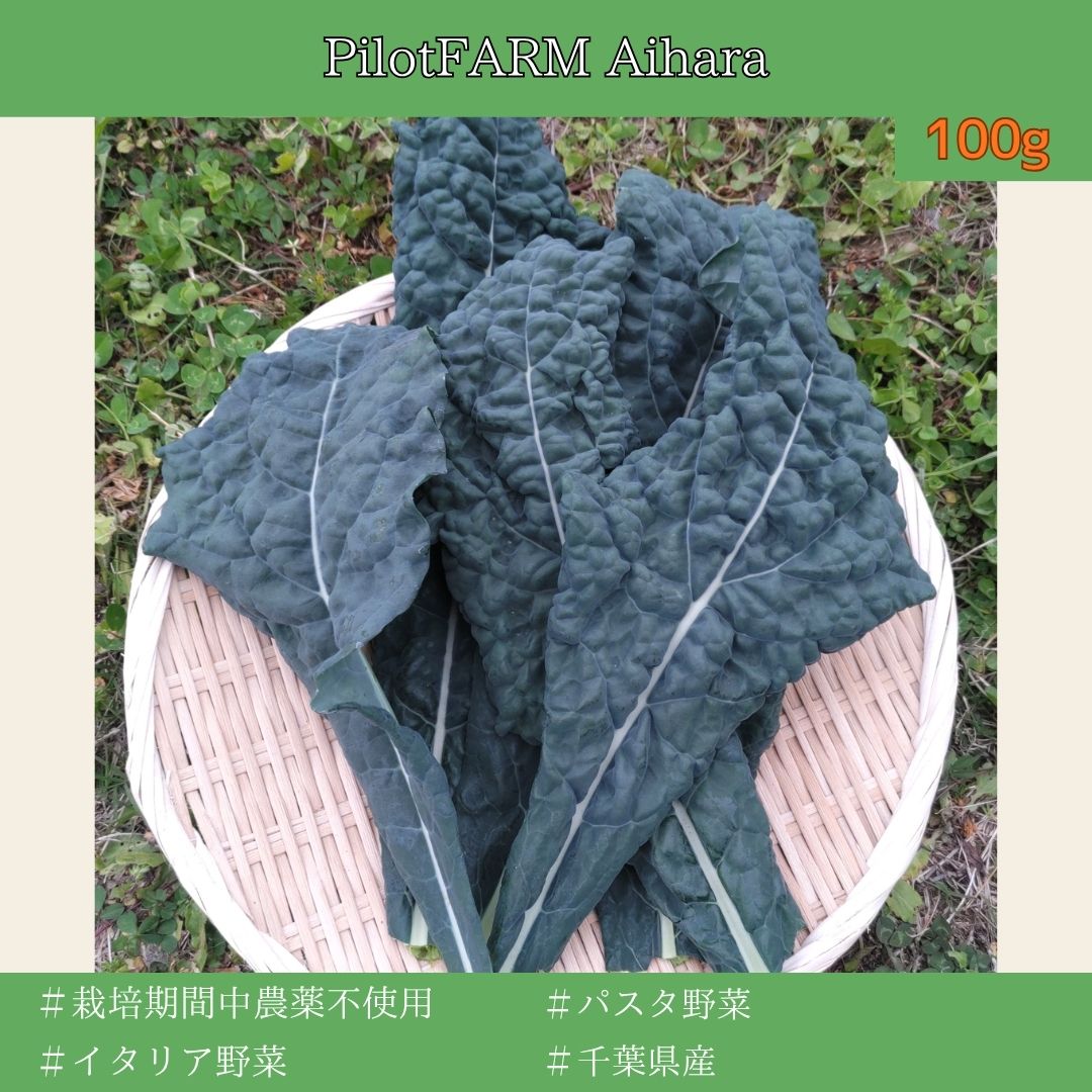 カーボロネロ(黒キャベツ) 100g【農薬不使用】｜Pilot FARM Aihara