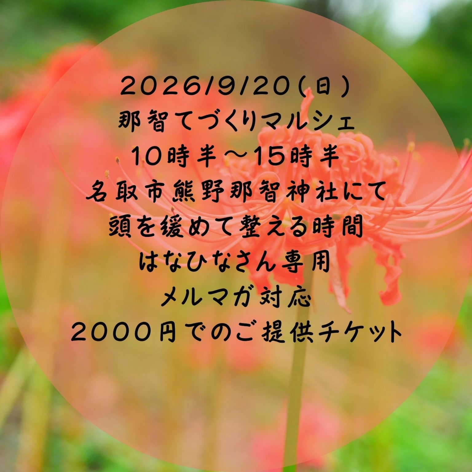 Hanahina様専用　那智マルシェ　チューニング