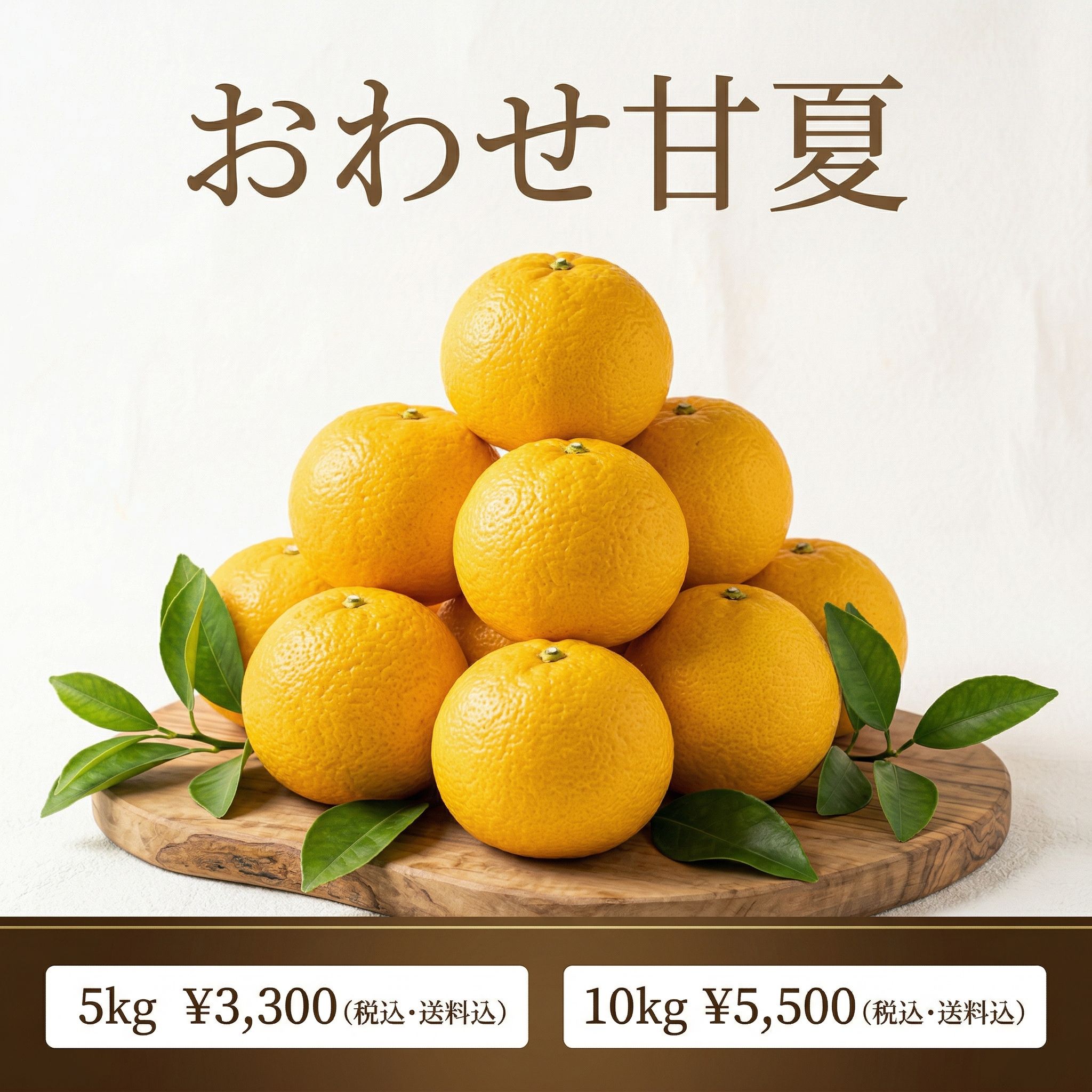 わお出品 季節限定｜4月末まで】おわせ甘夏 5kg｜三重県産・春の旬柑橘を産地直送