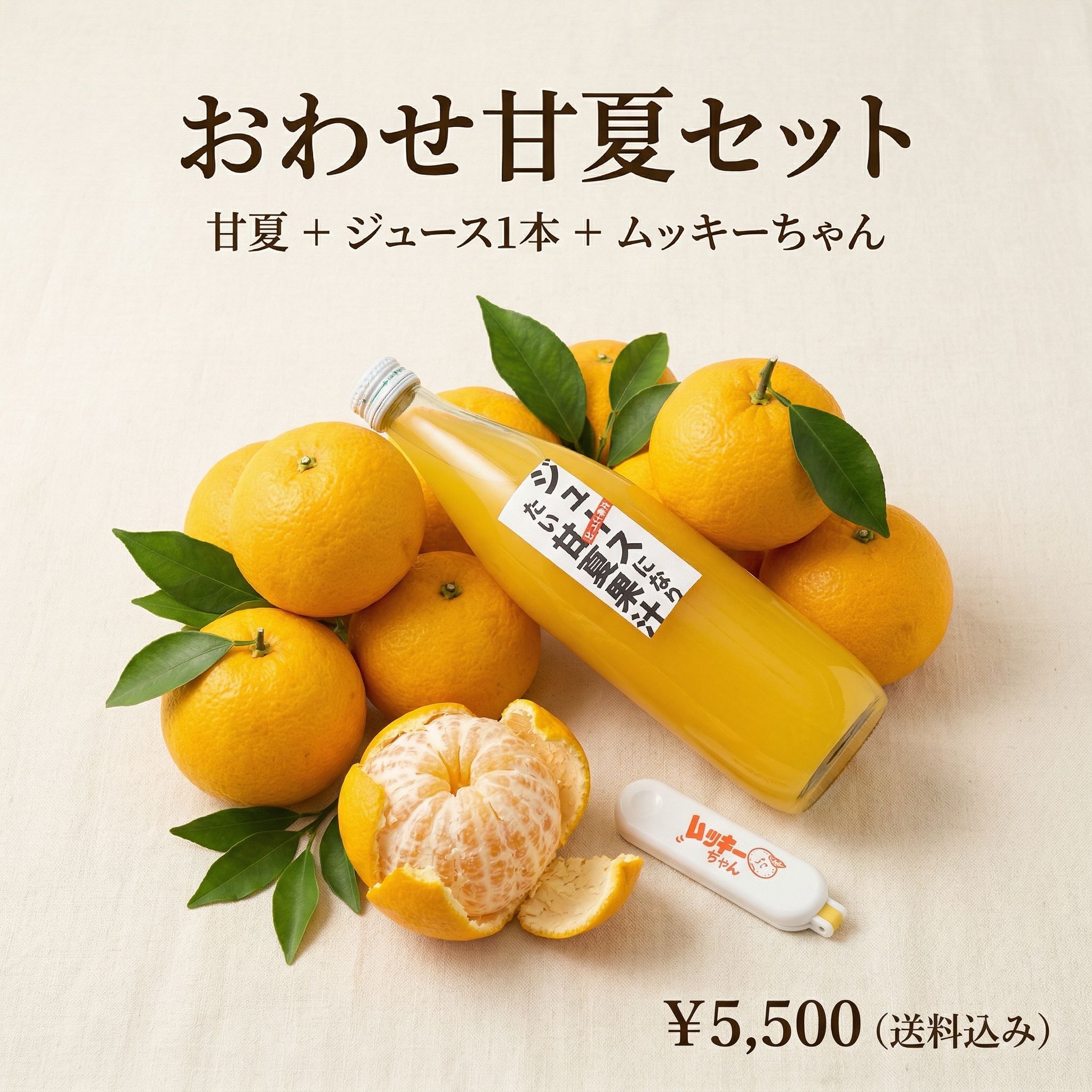 尾鷲甘夏まるごとセット（甘夏＋ジュース1本）｜送料込み・産地直送