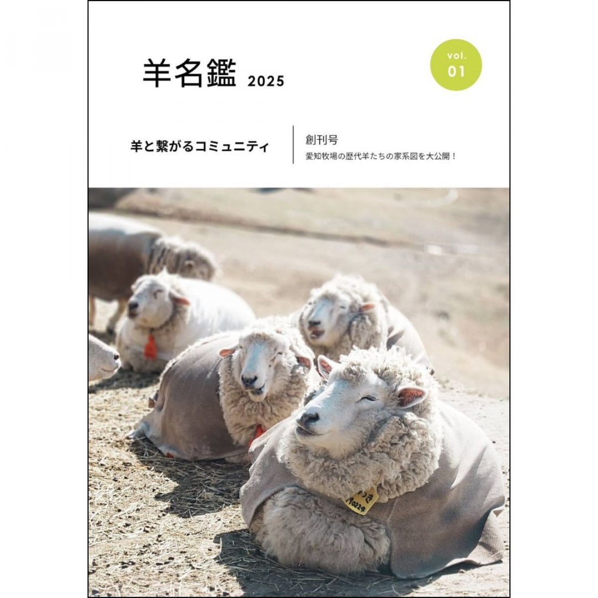 羊名鑑2025【現地受け渡し専用】