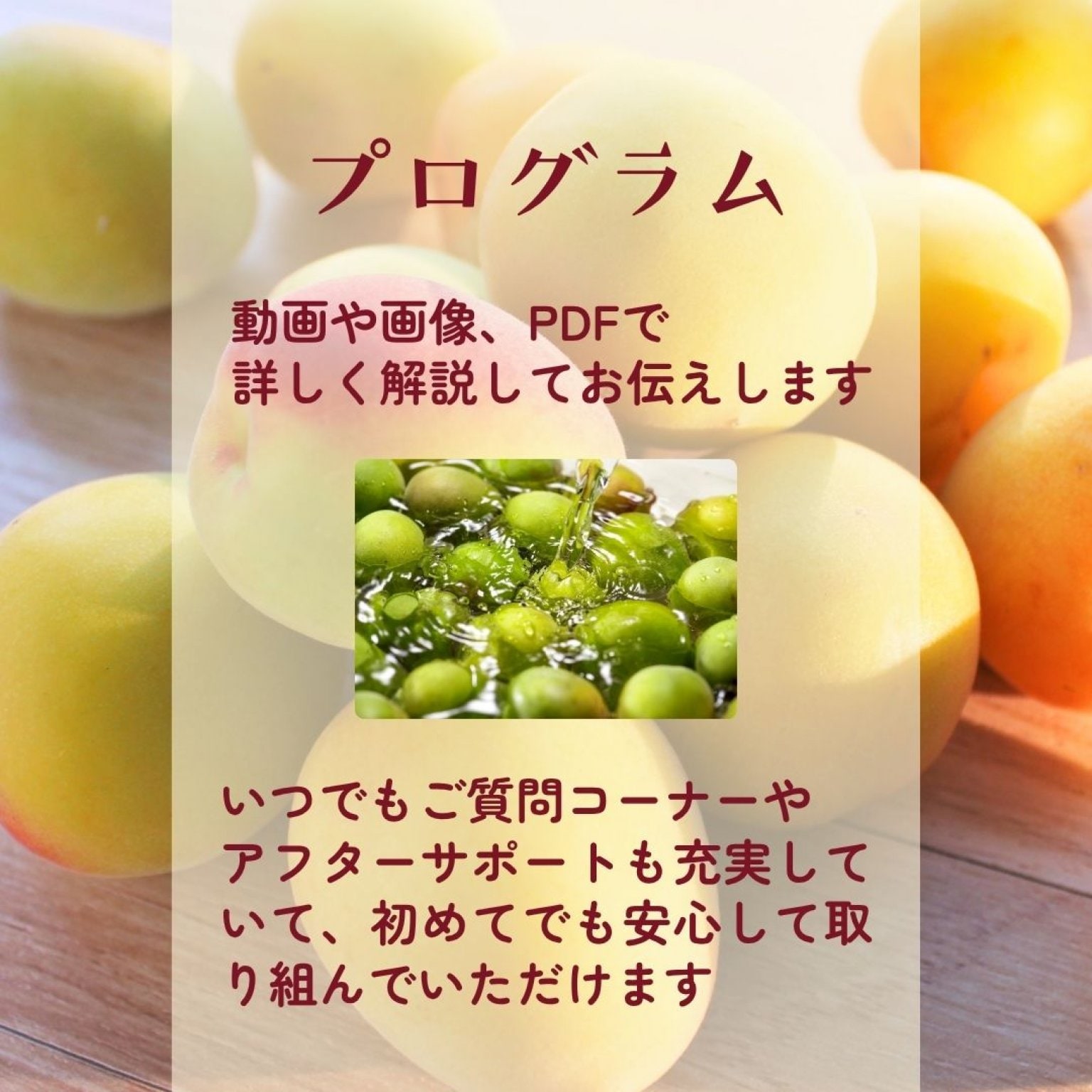 ヒトツブで人生変わる【梅しごと講座】