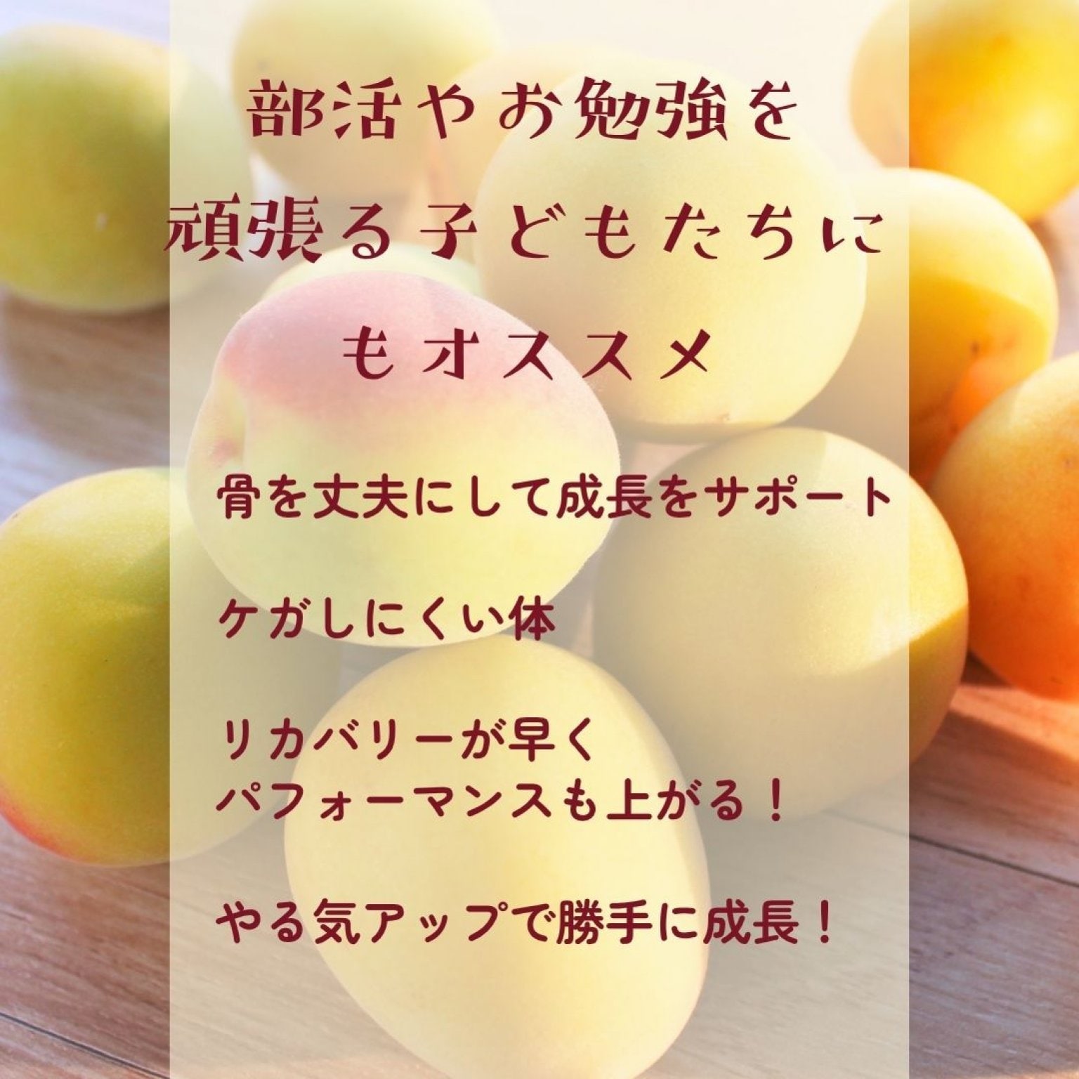 ヒトツブで人生変わる【梅しごと講座】