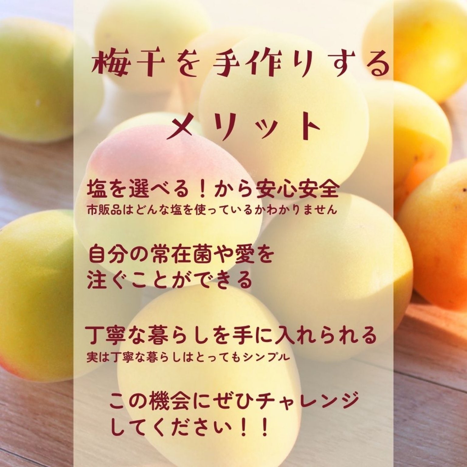 ヒトツブで人生変わる【梅しごと講座】