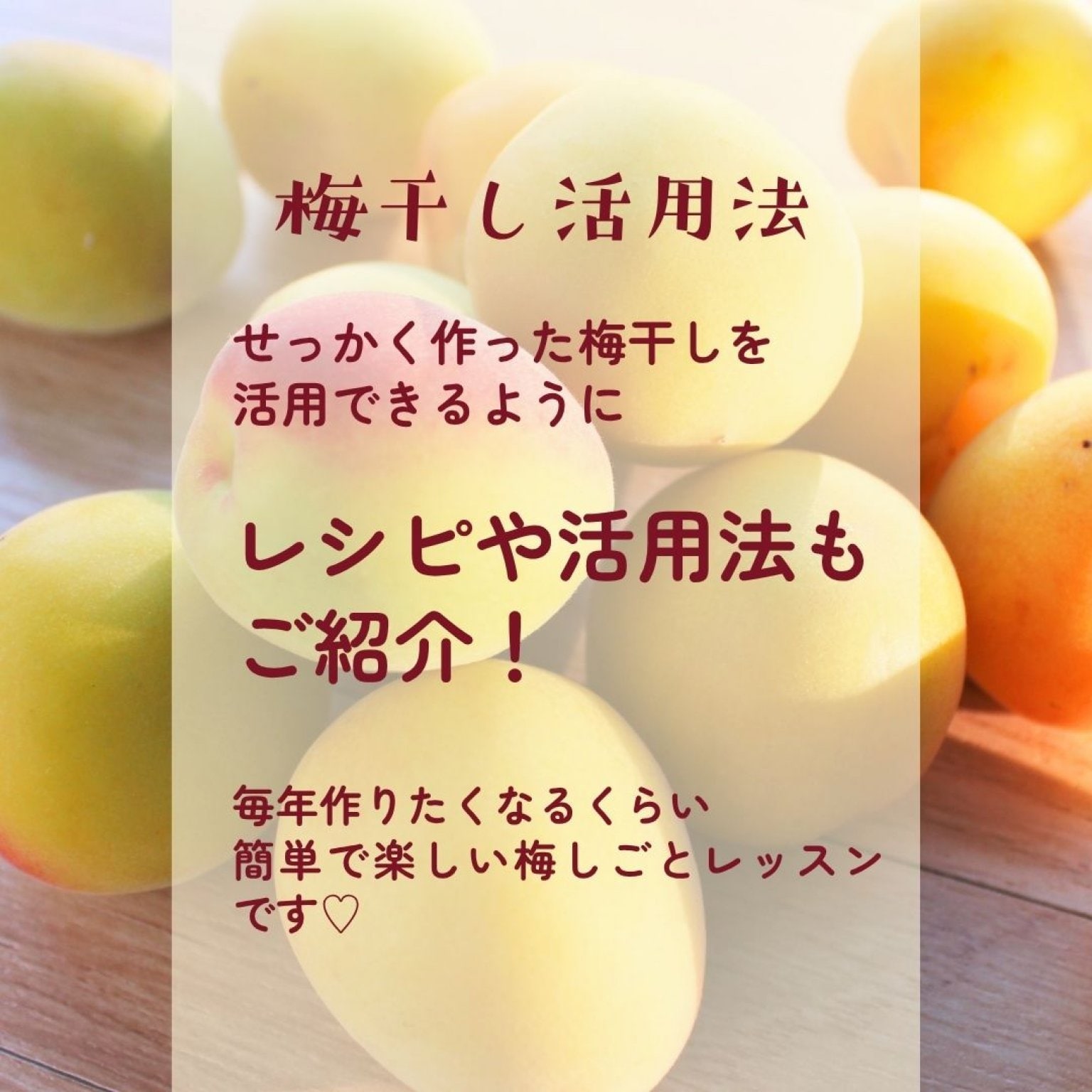 ヒトツブで人生変わる【梅しごと講座】