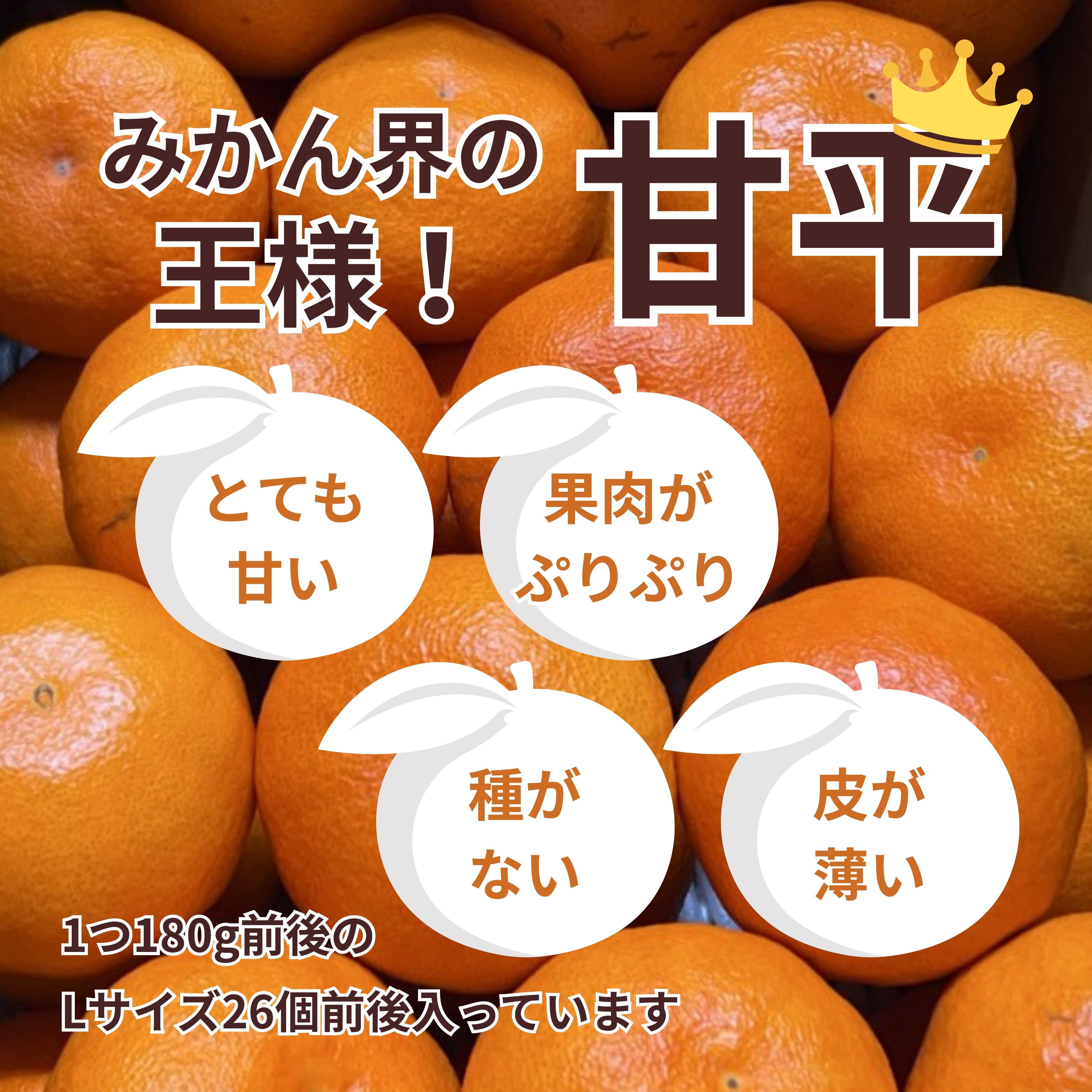 銀行振込のみ】愛媛県産 甘平 5kg（Lサイズ約26個入）