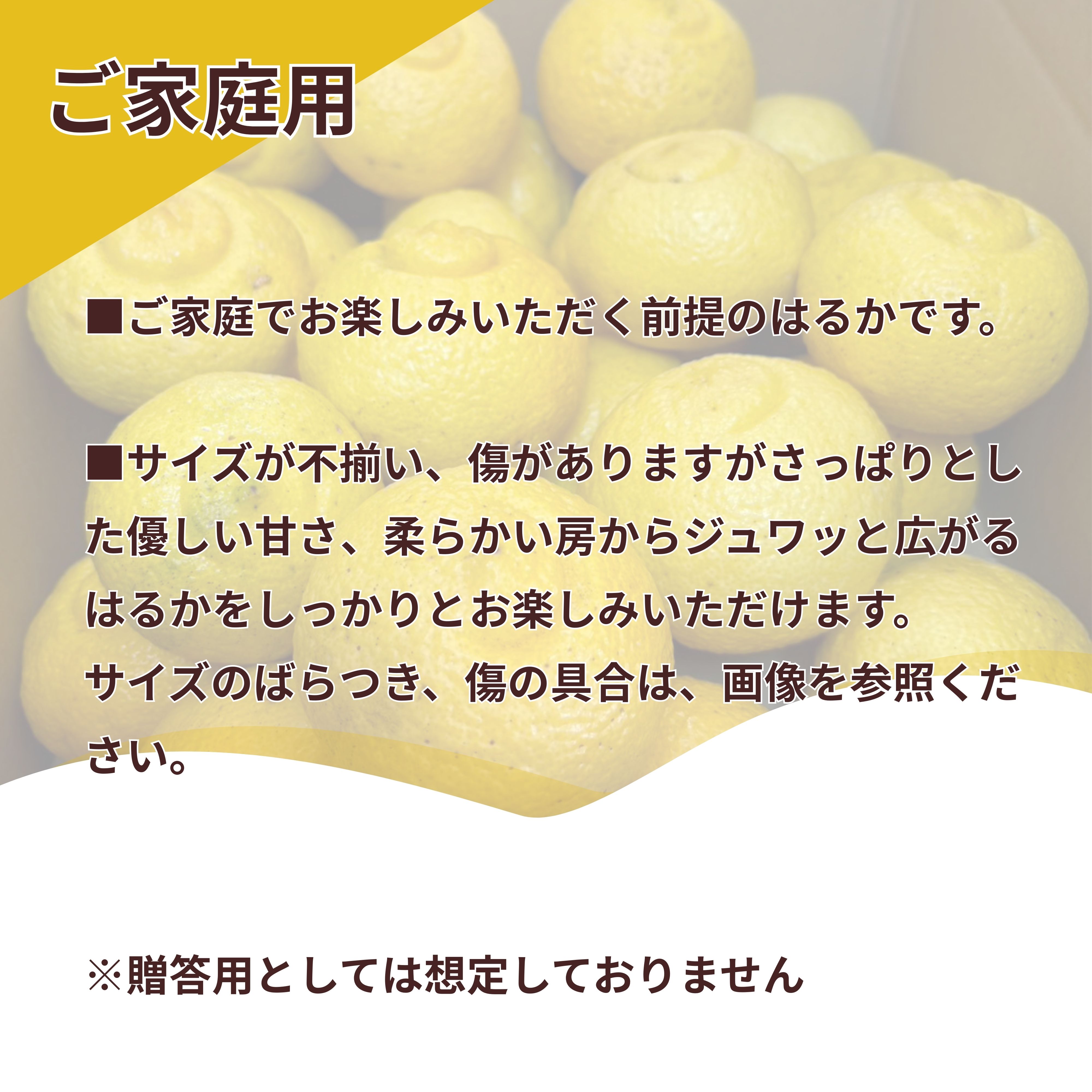 銀行振込のみ】愛媛県興居島産 はるか 5kg（約20個入）
