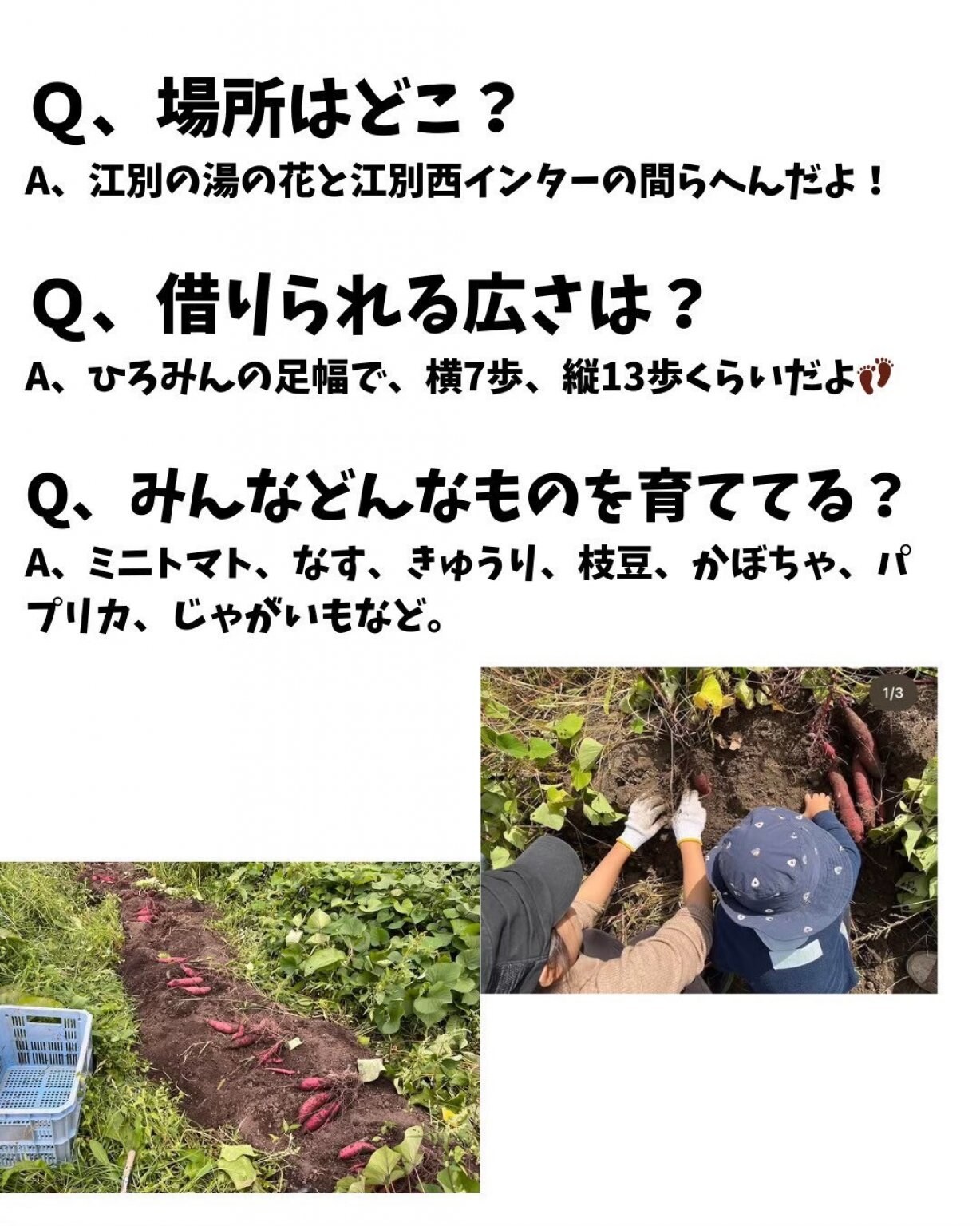 ときの森畑プロジェクト