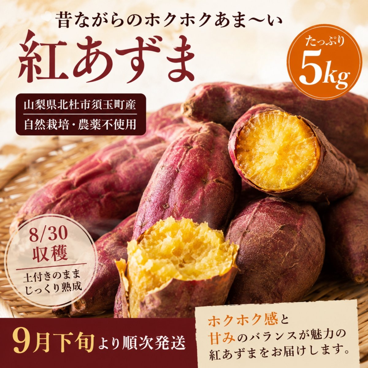 【紅あずま 5kg｜9月下旬より順次発送】自然栽培・農薬不使用｜山梨県北杜市産｜2026年初収穫・土付き・サイズ不揃い｜八ヶ岳南麓の太陽と豊かな土で育ったさつまいも