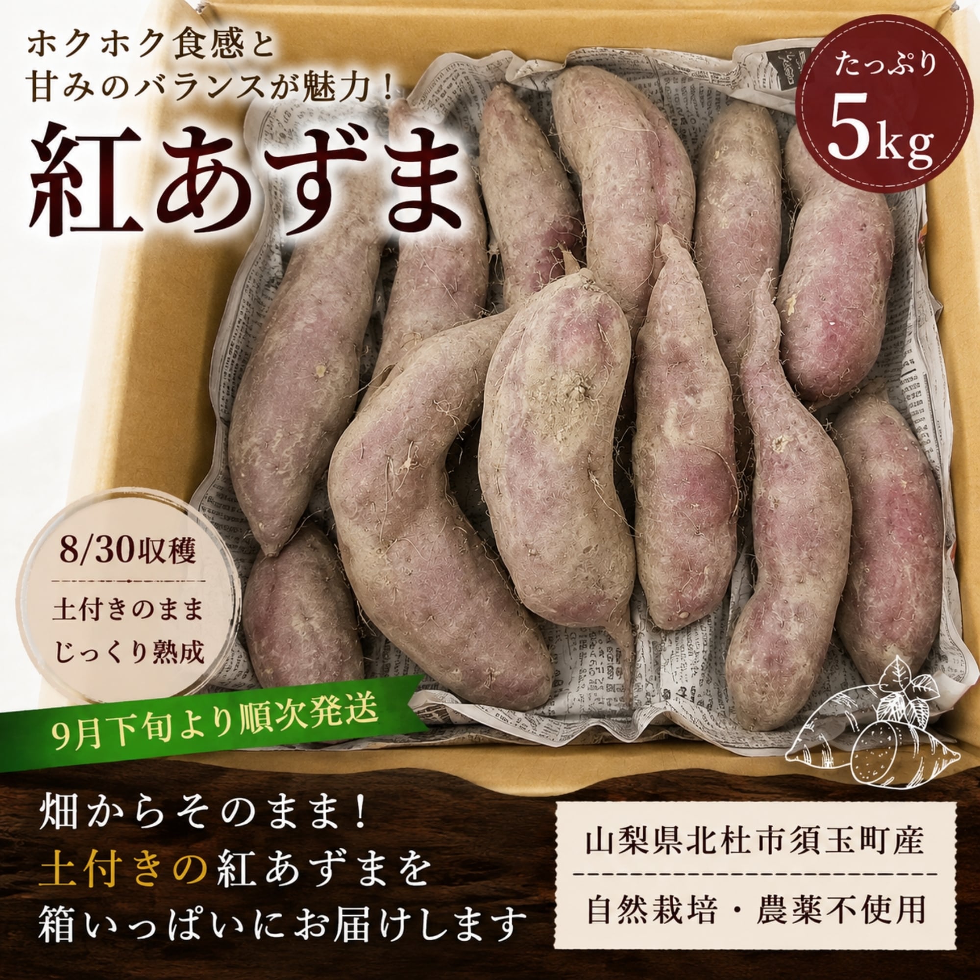 熟成紅あずま さつまいも 大分県豊後大野市超熟成紅あずま20kg 紅あずま 5kg｜9月下旬より順次発送】自然栽培・農薬不使用｜山梨県
