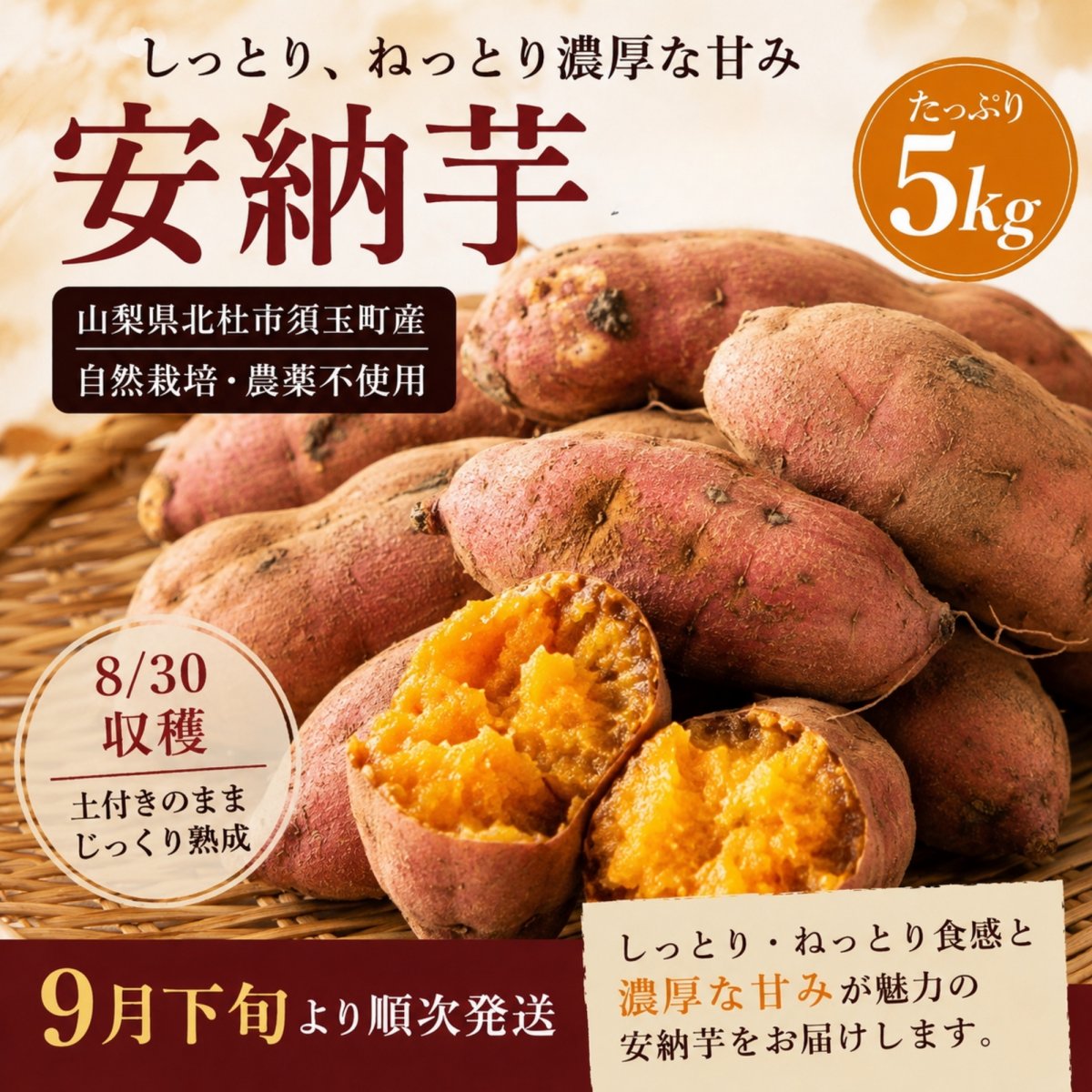 【安納芋 5kg｜9月下旬より順次発送】自然栽培・農薬不使用 ｜山梨県北杜市須玉町産｜8月30日初収穫・土付き熟成・サイズ不揃い