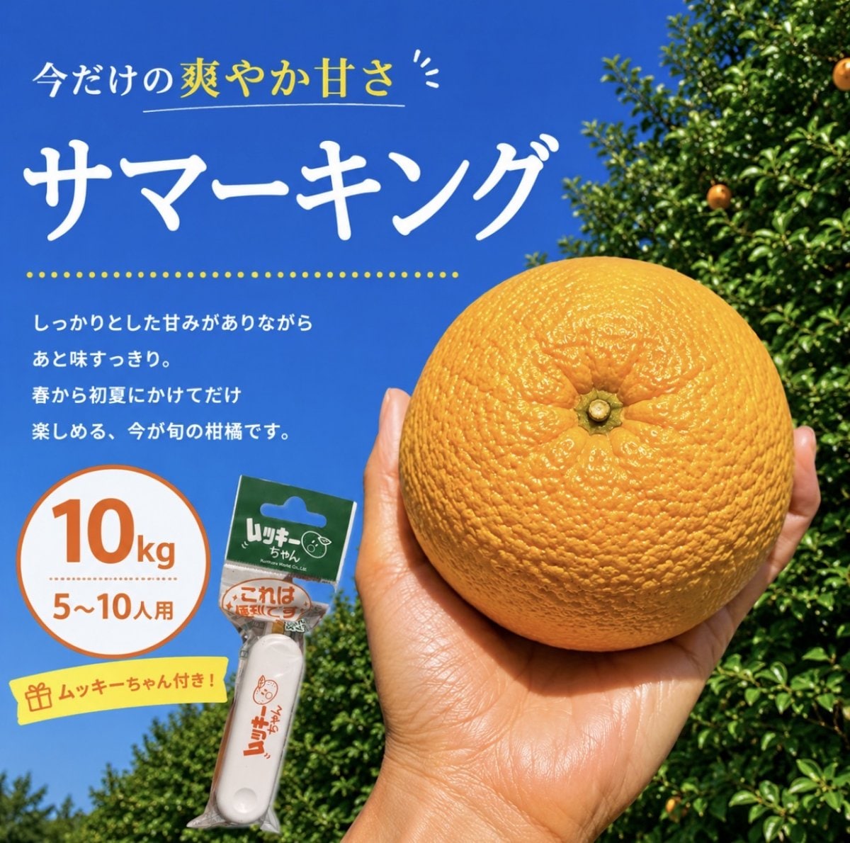 ツクツク!!! 通販 | 最もお得な高ポイント還元通販サイト