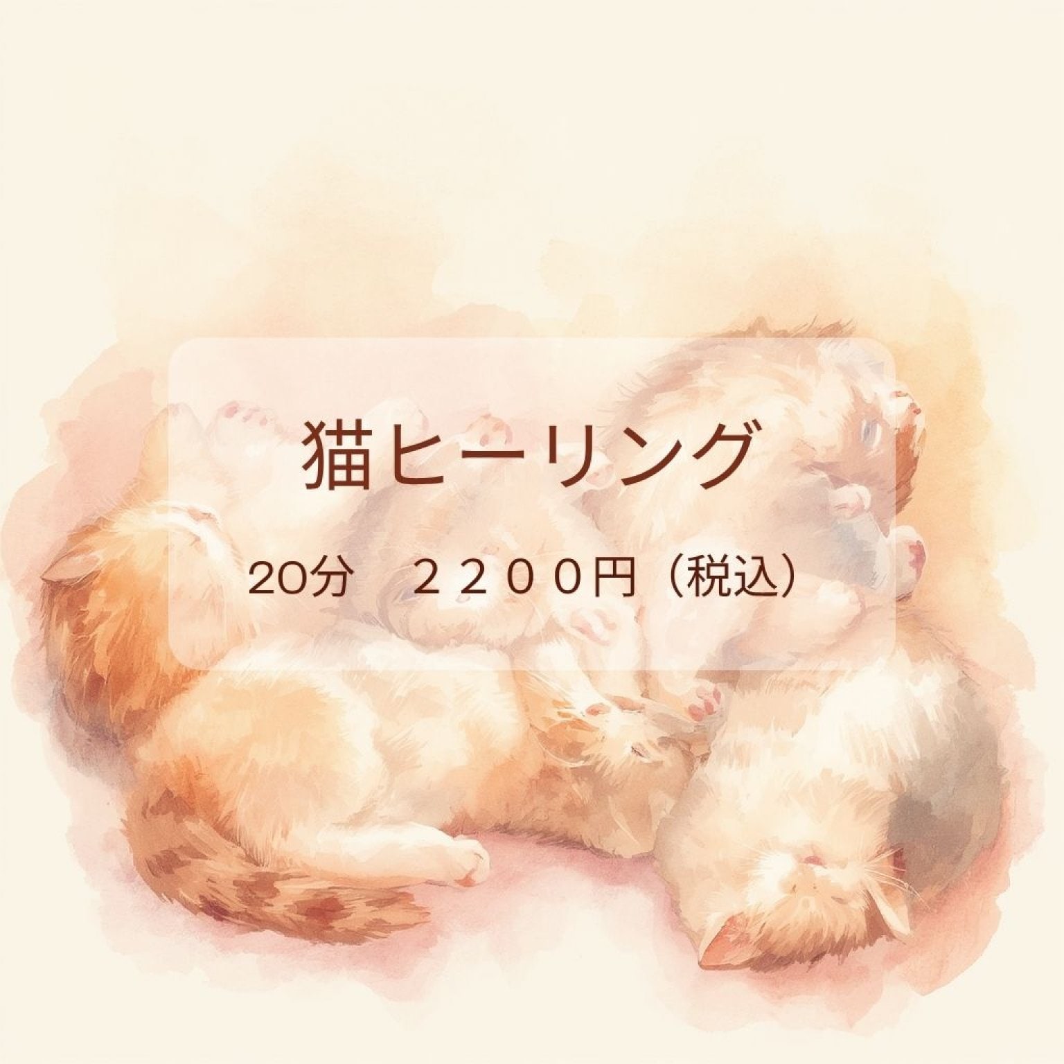 猫ヒーリング