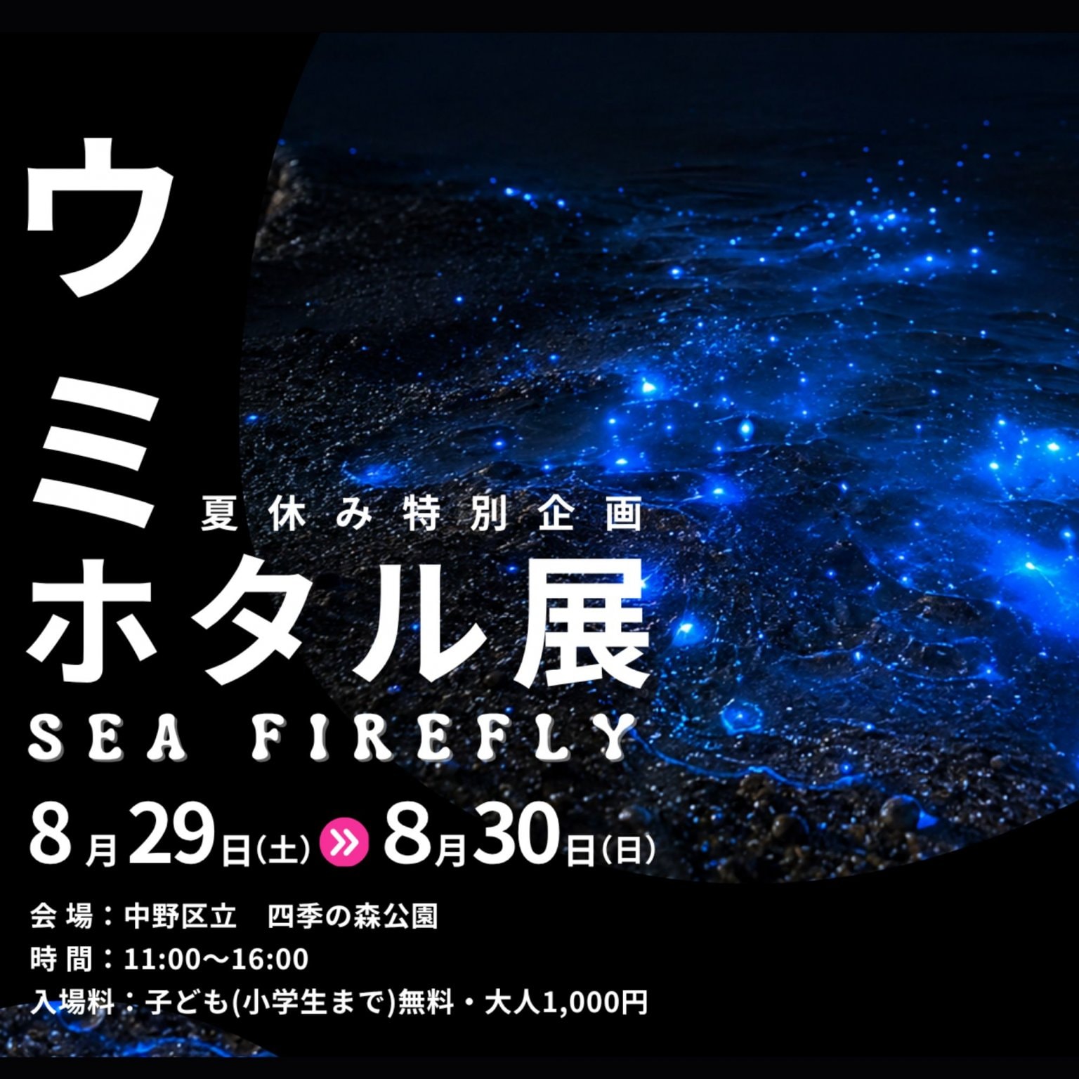 【大人入館料】ウミホタル展　場所：四季の森公園