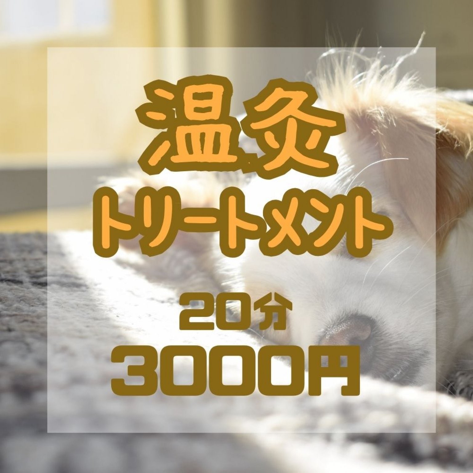 遠赤外線による温灸トリートメント【愛犬ケア】20分