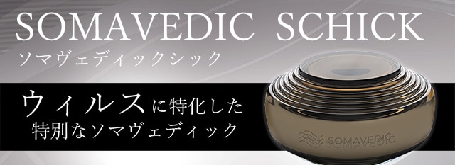 メーカー欠品中のため、ご予約注文のみ受付中】【予約注文・メーカー
