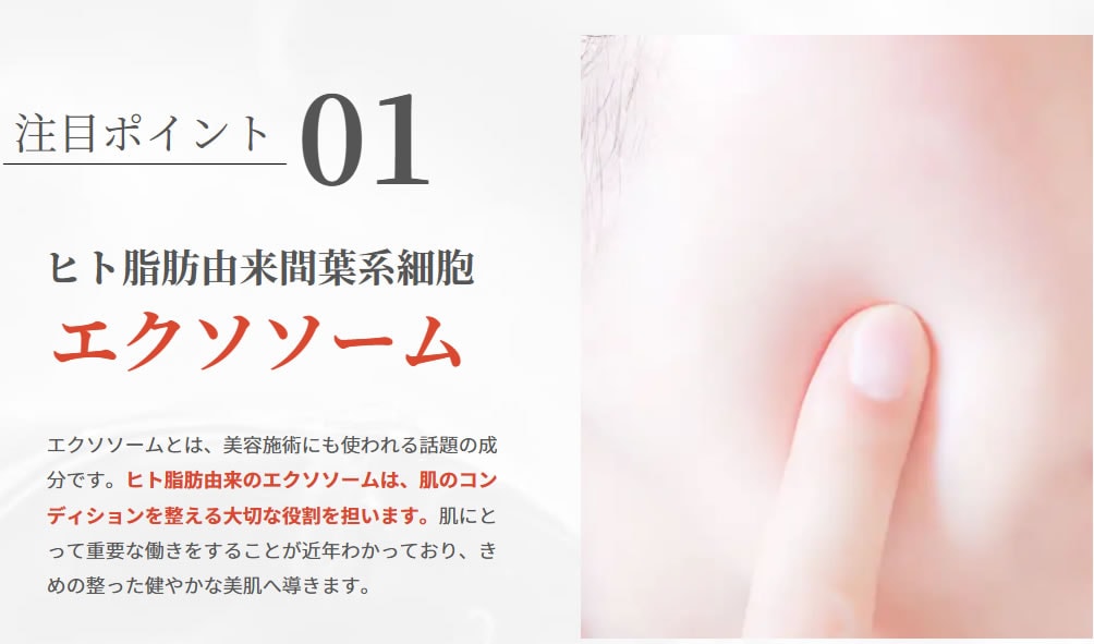 サンプル2個 nanoPDSアイロニングクリーム 送料無料