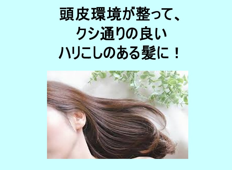 最先端」のヘアケア！ ナノサイズの美容成分が 頭皮の中まで届くヘア