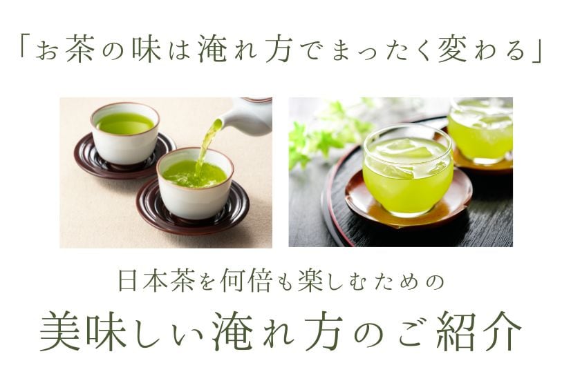 高ポイント【鹿児島 知覧茶ギフト】煎茶「翠〜SUI〜」2本詰め合わせ