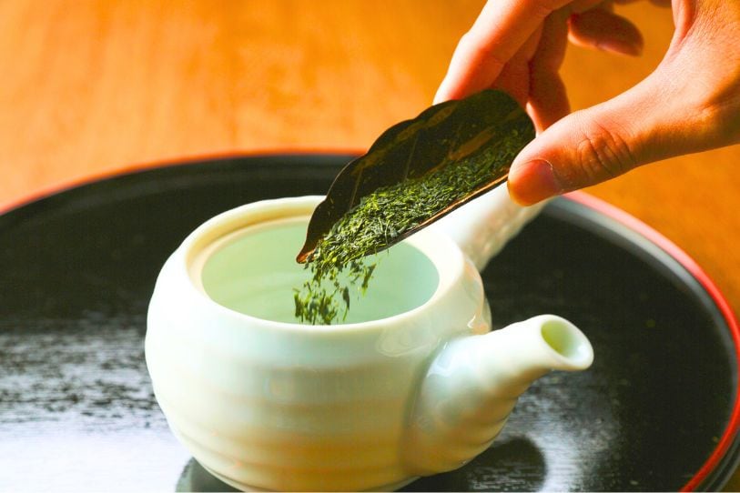 2026年新茶 鹿児島知覧茶 『翠〜SUI〜』／煎茶100g／送料込み（全国