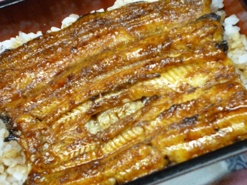 うなぎづくしコース（竹）　≪宴会≫