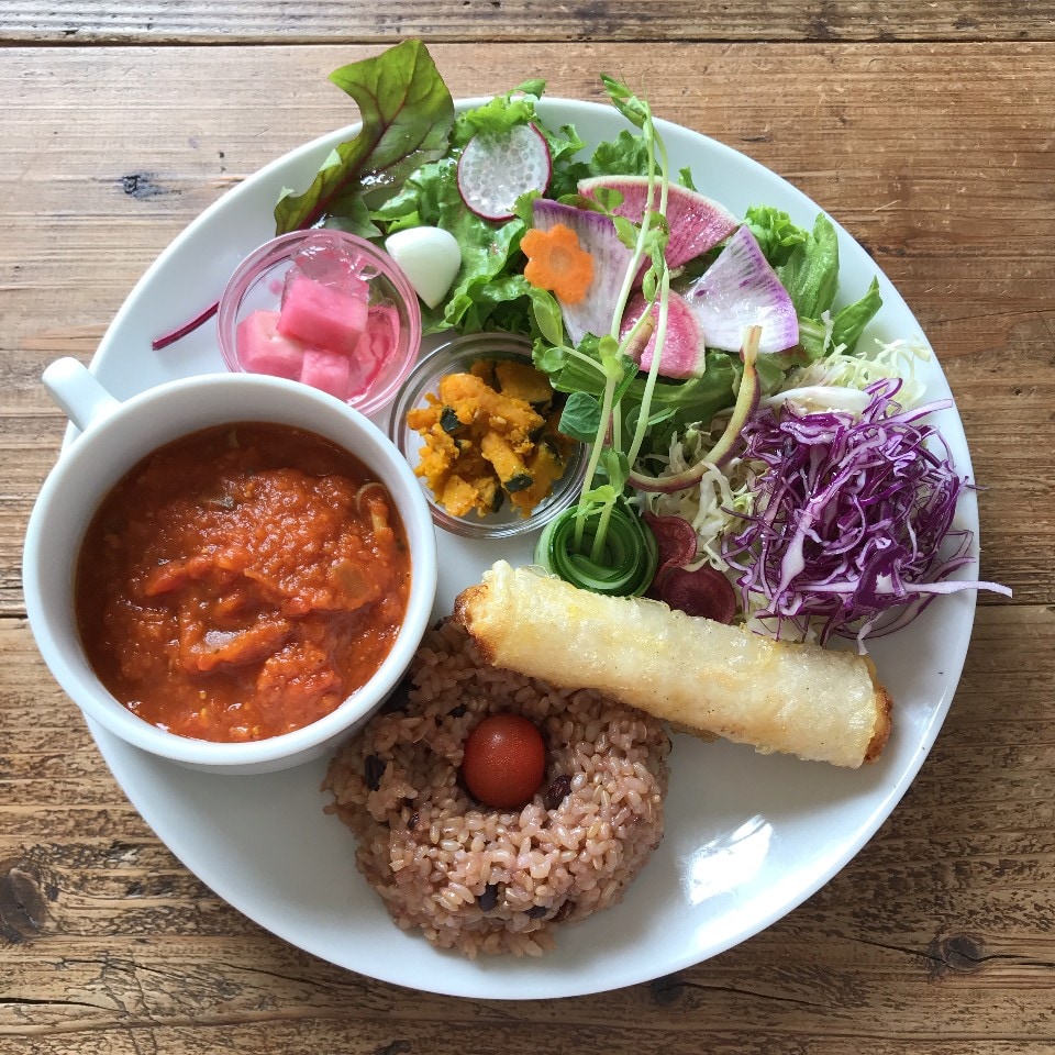 薬膳トマトカレーとおから春巻きプレート
