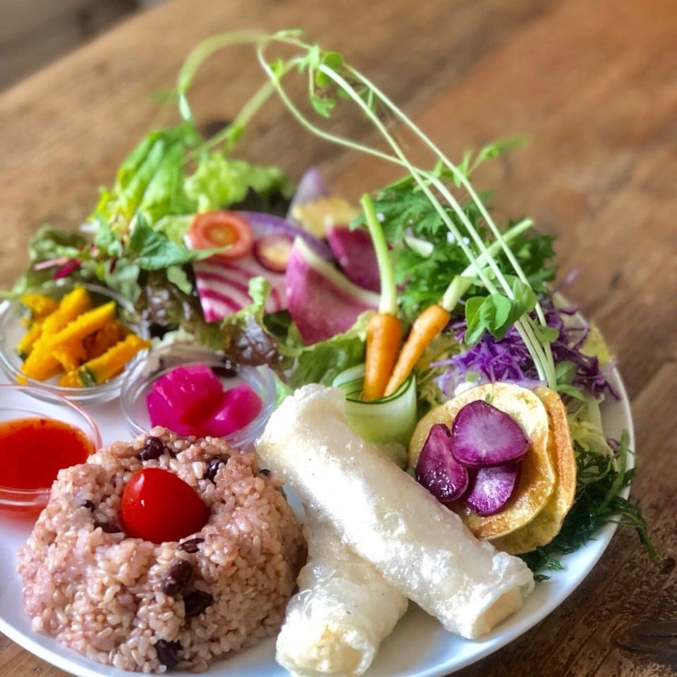 ヘルシーおから春巻きプレート