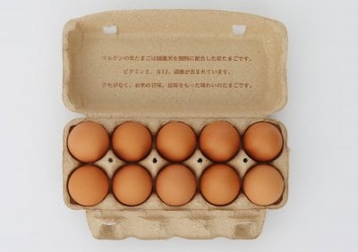 農林水産大臣賞受賞✨こだわりのマルゲン米たまご 10個入り/1p.c