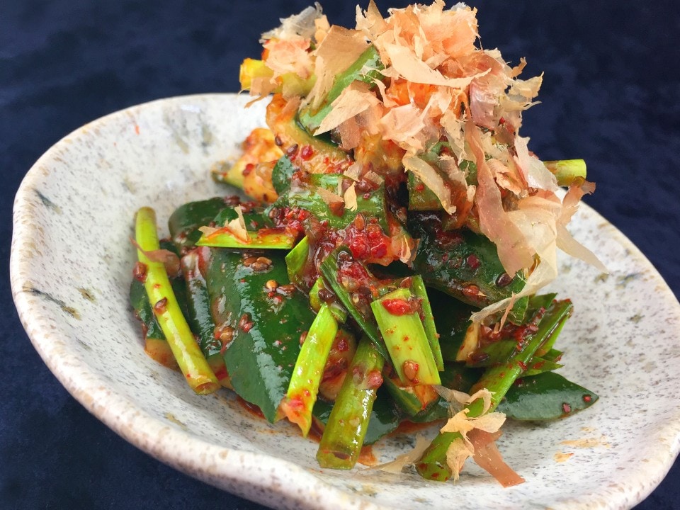 ぶったたきオイキムチ